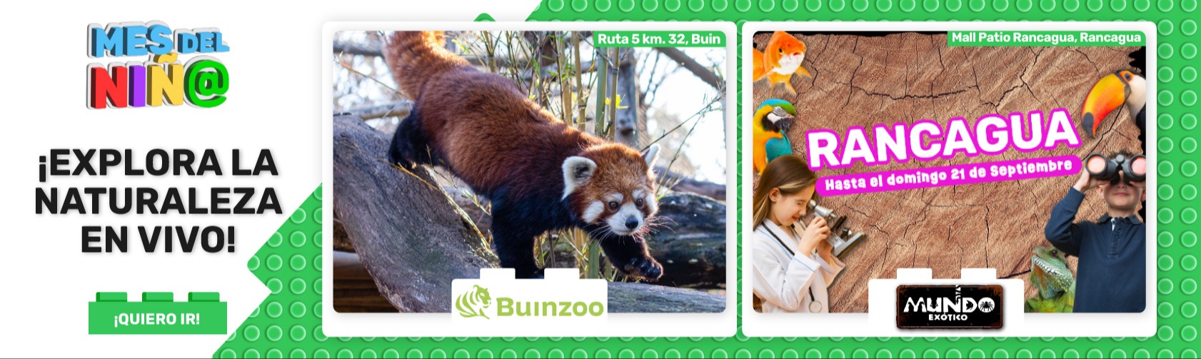 Animales