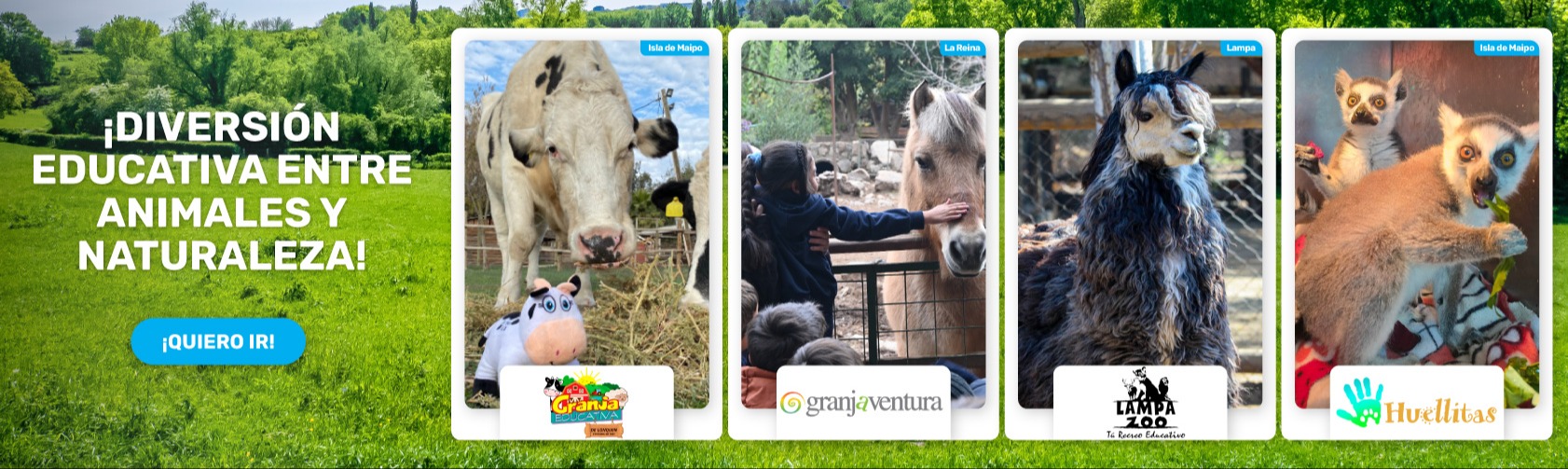 ANIMALES GRANJA