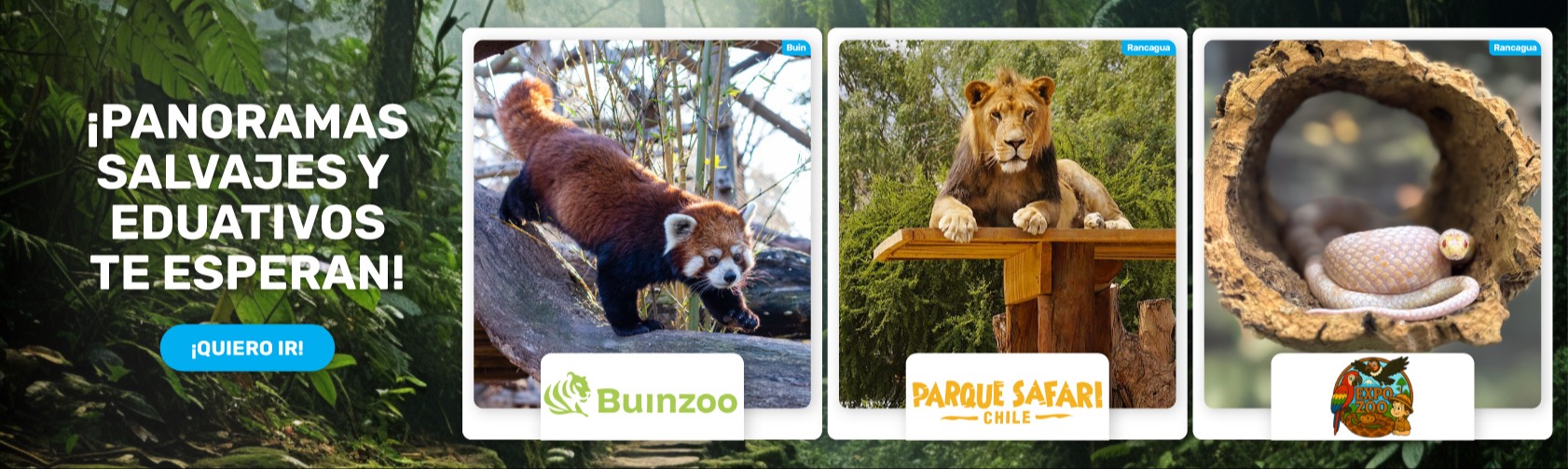 ANIMALES EXOTICOS