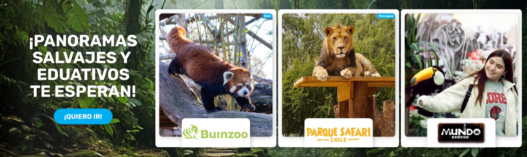 ANIMALES EXOTICOS