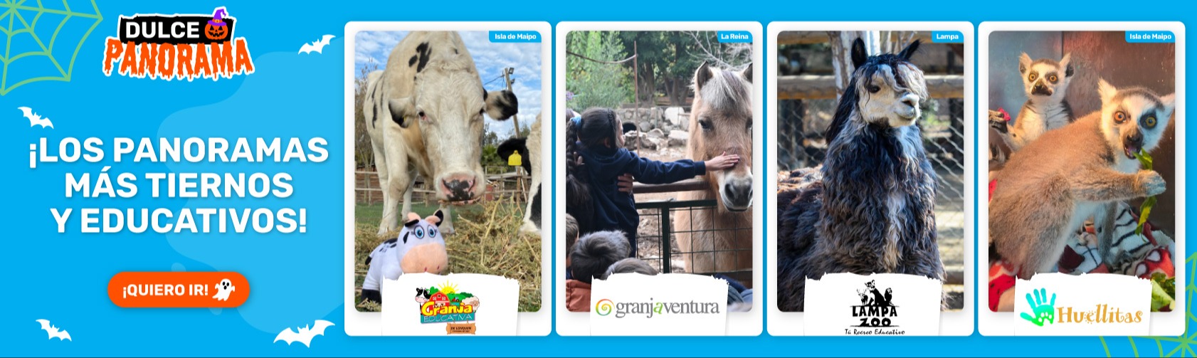 ANIMLAES EDUCATIVOS