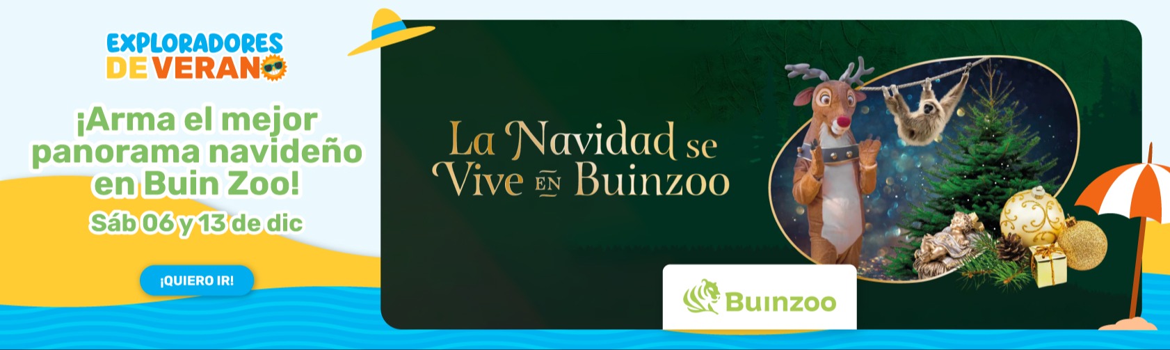 BUINZOO