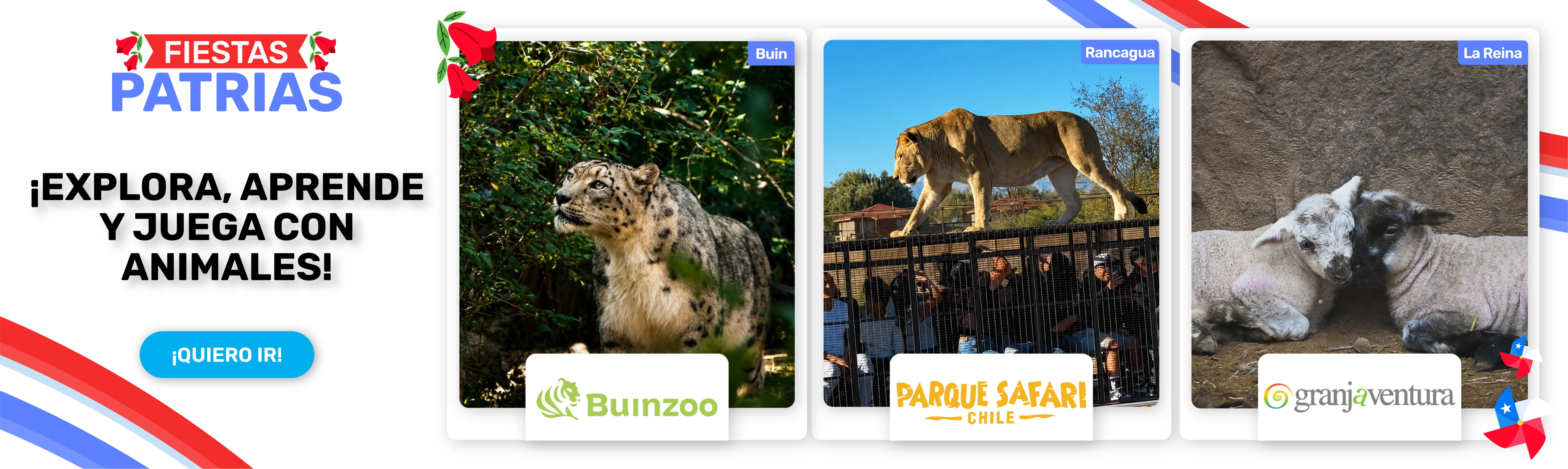 Fiestas Patrias 2026_Animales